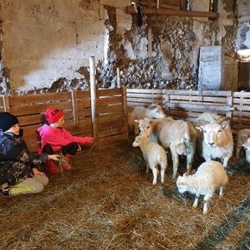 100802147_843555626428334_346323317818392576_n