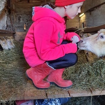 100991421_250190356081565_1766553373496049664_n