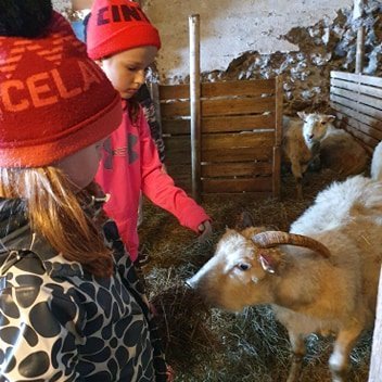 101073990_712269536203572_4085422077920673792_n