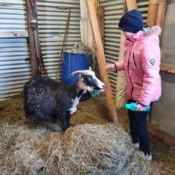 101083585_924184321357869_2107336814862794752_n