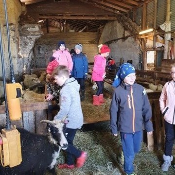 101094278_263729081496947_4682415754606280704_n