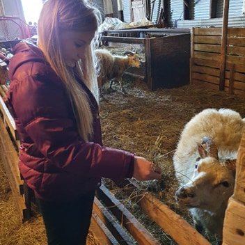 101107593_179390050113531_4907384389224103936_n