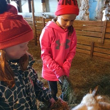 101210718_173991030722432_331603601606574080_n