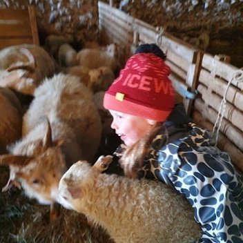 101257088_3061651590615543_6926286388648214528_n