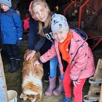 101348063_246997483391844_3132219060838727680_n