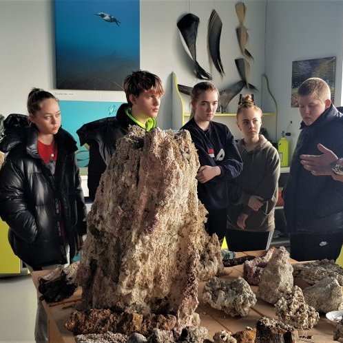 Erlendur sýnir okkur safnið
https://www.strytan.is/