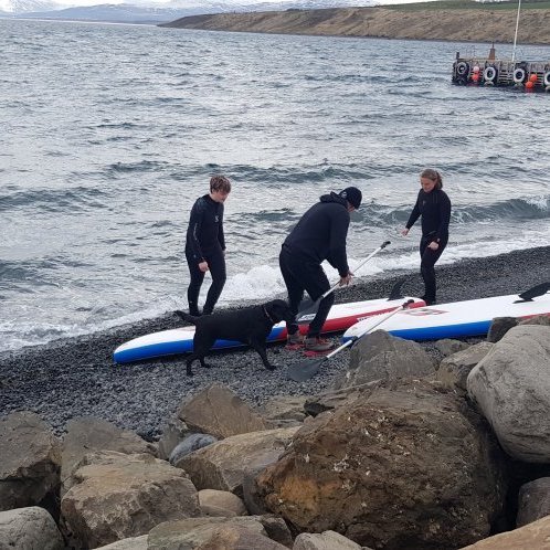 Þarna fer aðal fjörið að byrja!
https://www.strytan.is/