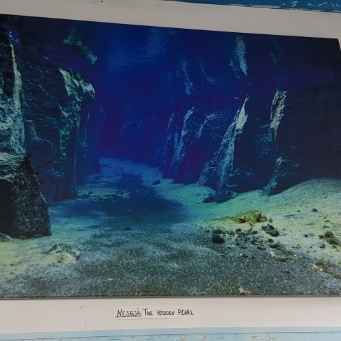 Nesgjá
https://www.strytan.is/our-tours/northern-water-circle/