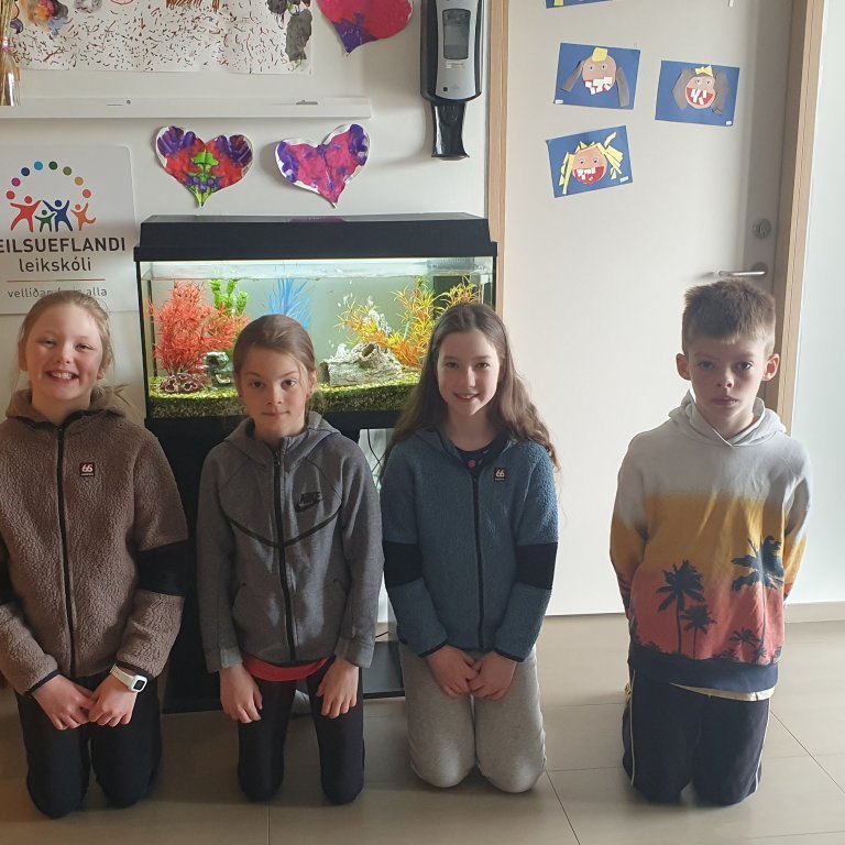 barnabol-3og-4bekkur