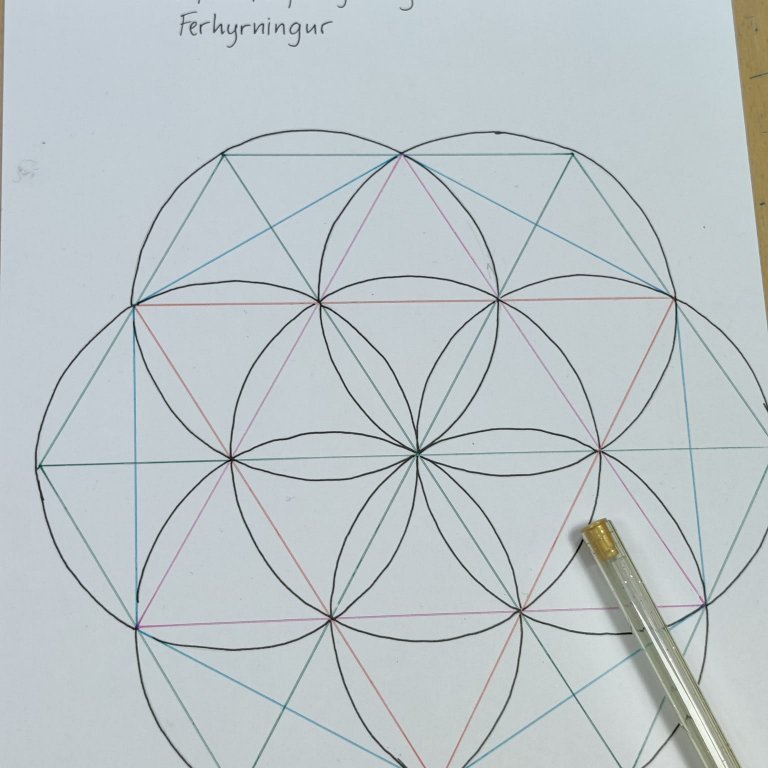 335592014_571588605031371_4514846885350933539_n