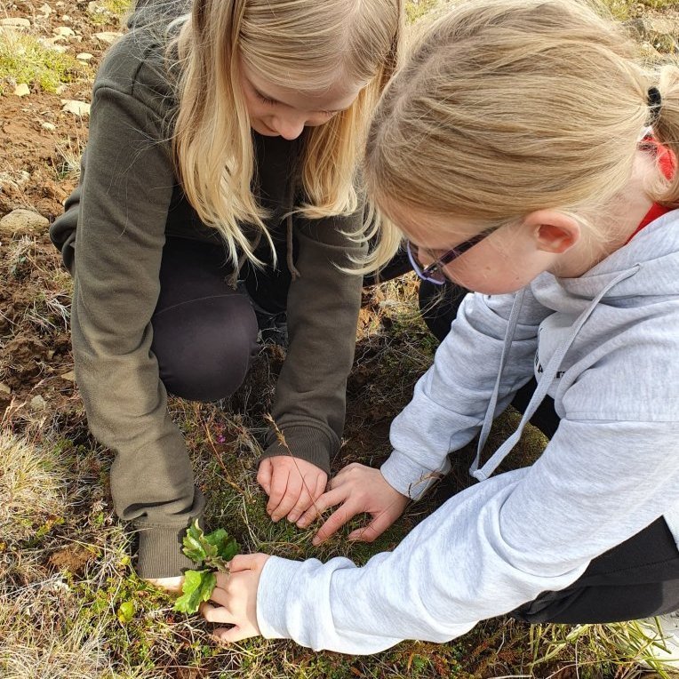 119567714_10223741835163510_3745887570055734857_o