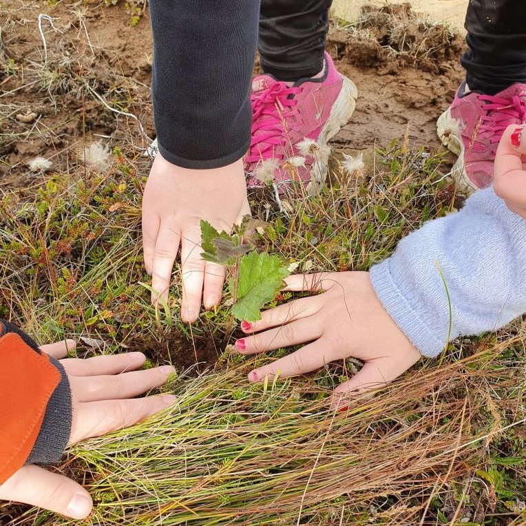 119583881_10223741835283513_1368456290533366238_o