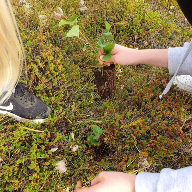 119632545_10223741835883528_5391560185282737568_o