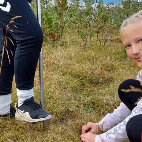 thumbnail_20200916_091134