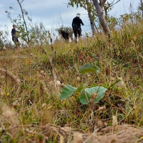 thumbnail_20200916_100914