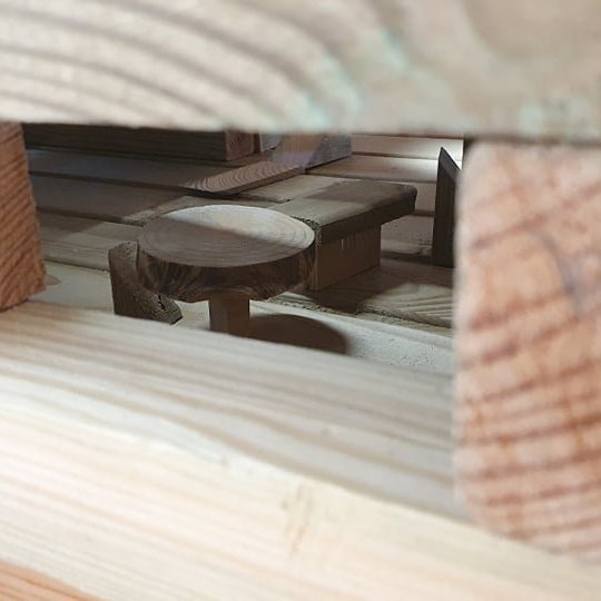 281325701_594201474984231_8491959398986399865_n