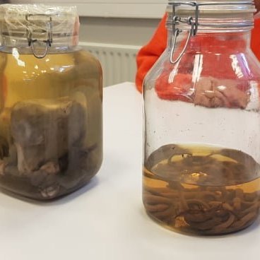 87258507_1091915674489921_6842614069170536448_n