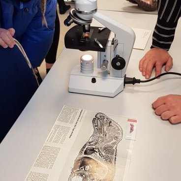 87263493_144219710048424_926909759871778816_n