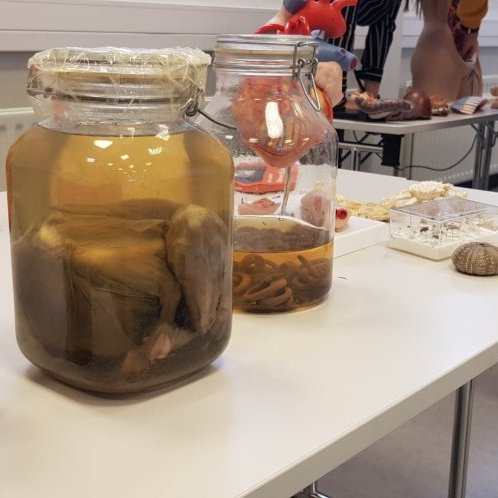 87309593_179465986829795_3677407005208739840_n