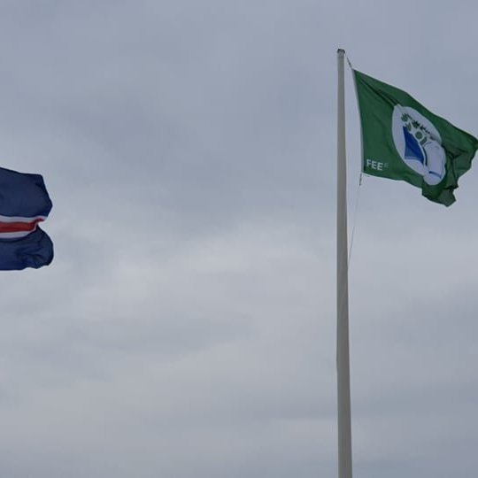 101519600_285490169276264_4053873889569144832_n