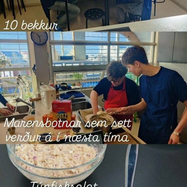 10b-annar-timi-a-heimasidu