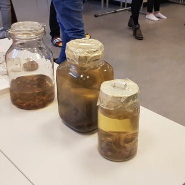 87387480_1147108882297689_8892493515922079744_n