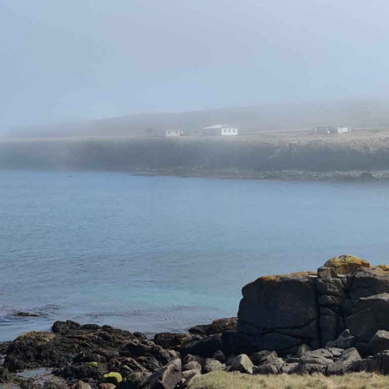 438154561_484997063960670_5964189635713519239_n