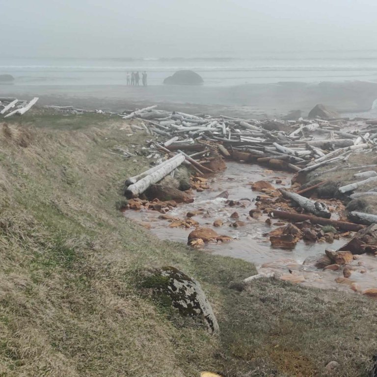 441002796_391750213863834_2701239694003176995_n