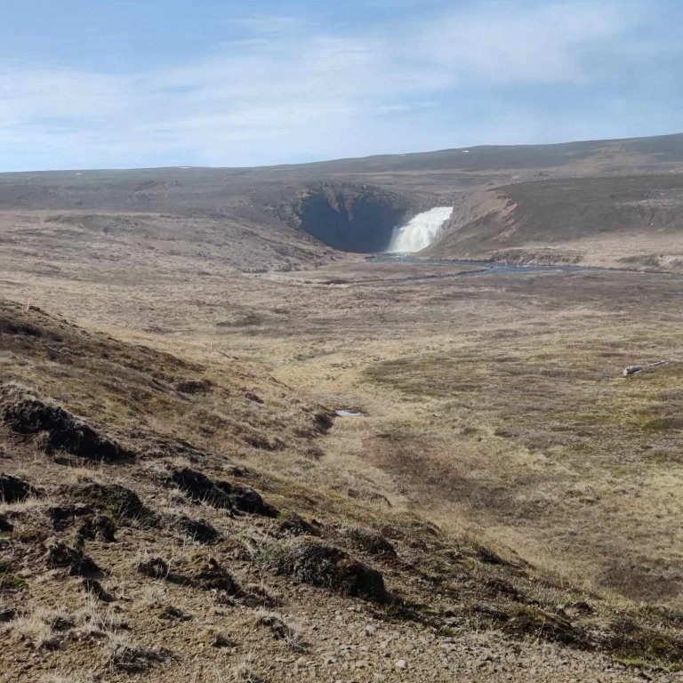 441308282_658560529789225_7930921338909701625_n