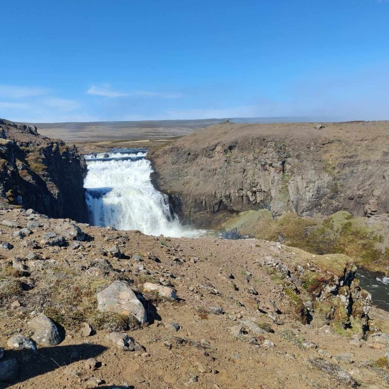 441494910_335967579314103_1808366310785946368_n