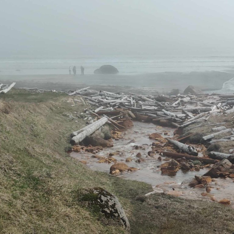 441549970_2118680101847963_7520727581650862163_n