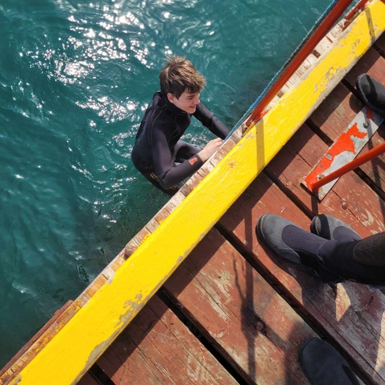 0e0b0147-69be-4435-90db-11feb60d777b