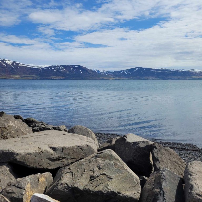 24bcd10e-1bb7-4509-ba3b-3db714d1d6fd