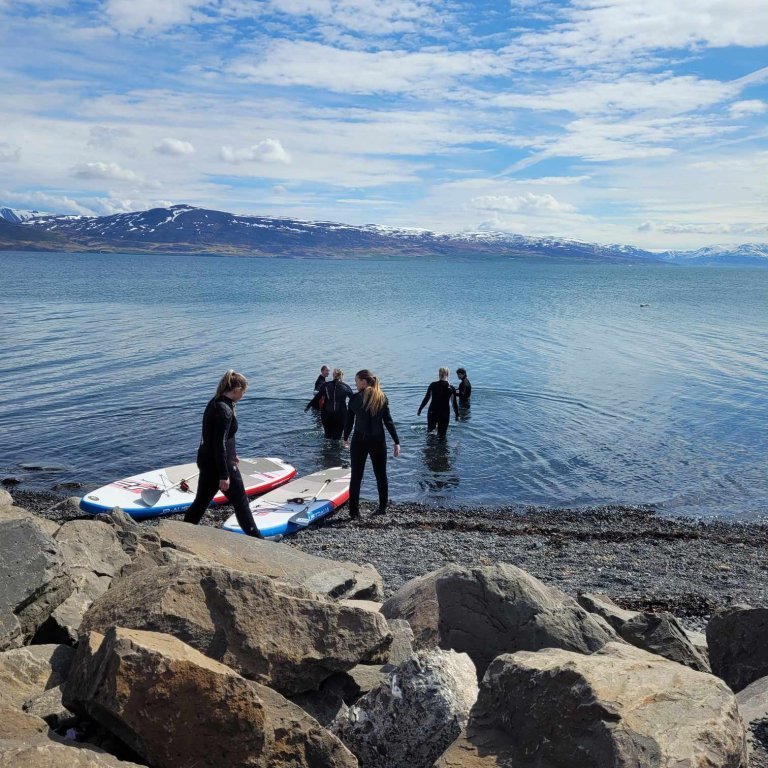 43803132-667c-442e-9344-f297cf60ace2