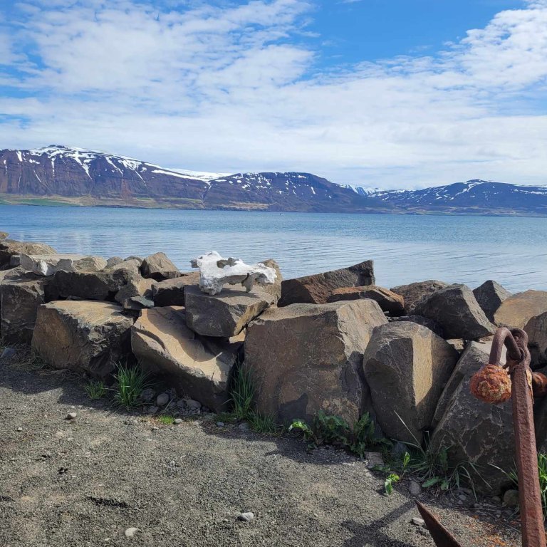 6d63ad8b-1dde-49a3-b0d0-ca2a7c1153df