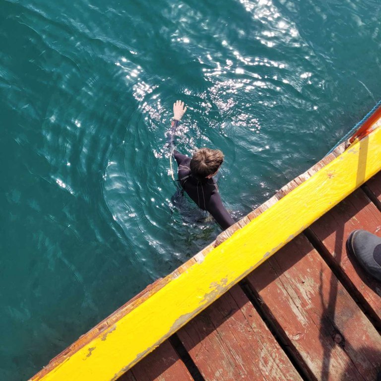 7e27ff51-3392-459a-80b2-c307c4a9a36a