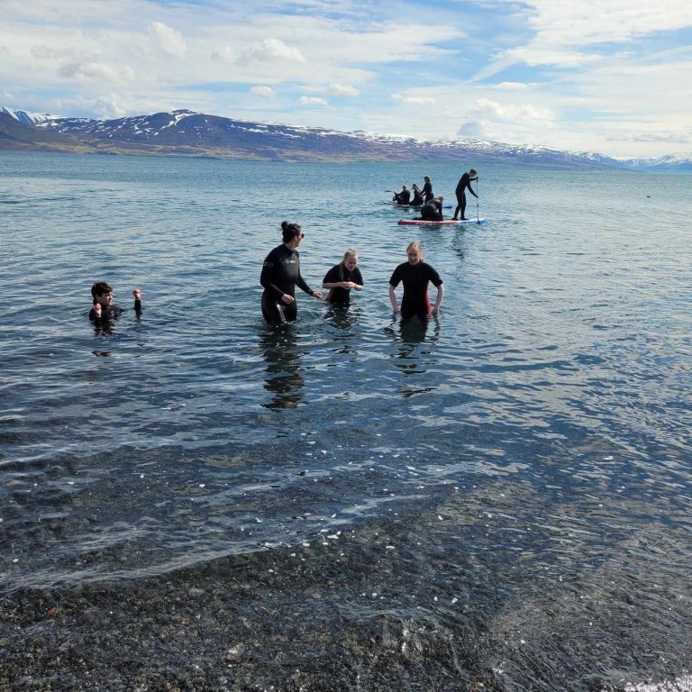 ab2dd9c7-c55f-40dd-93ce-21196dffc0fe