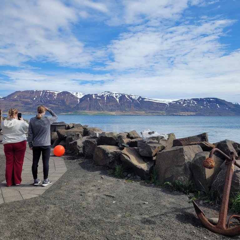 c878396e-da58-4f94-b7ae-b7142a97c31d