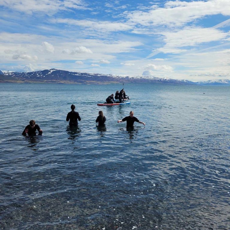 df6c754d-6eaa-4ca6-82ce-b9ca71eee8e9