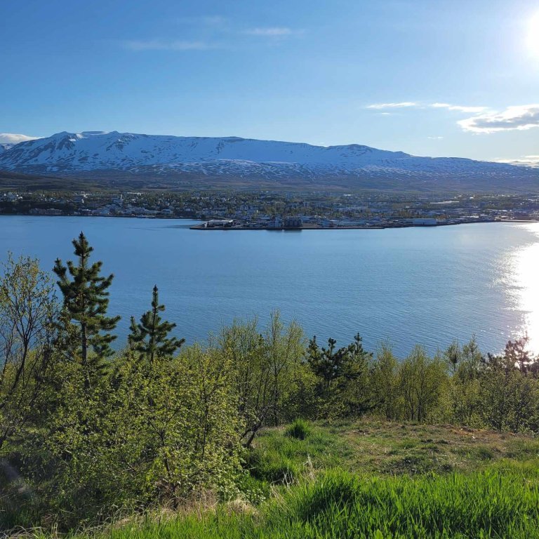 f08ed3eb-220a-434d-b89a-45a6a4e9e35d