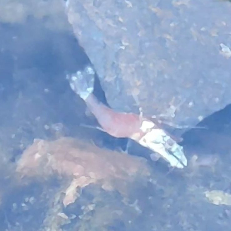 screenshot_20230302-132500__01