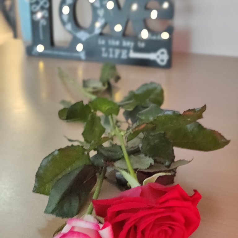 img_20250213_163212_bokeh