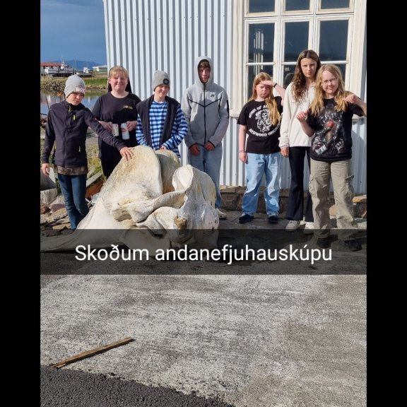 snapchat-1375427344.jpg