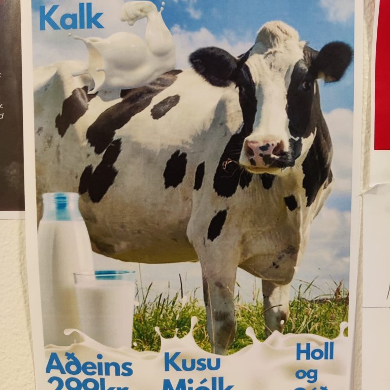 337159631_535844528662184_2960462447834867276_n