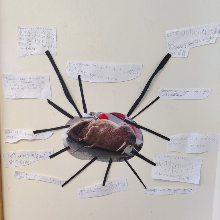 img_20230417_082915-1