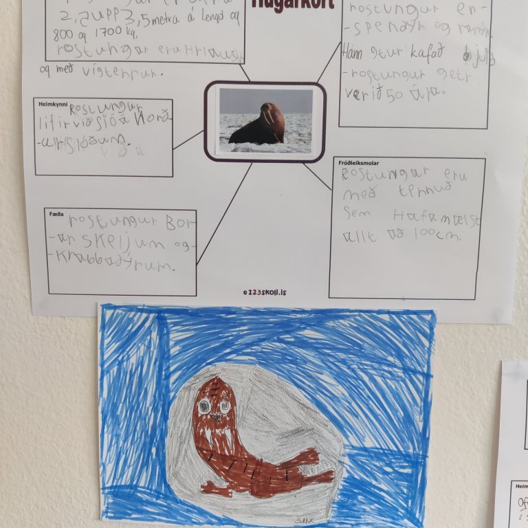 img_20230417_114951-1