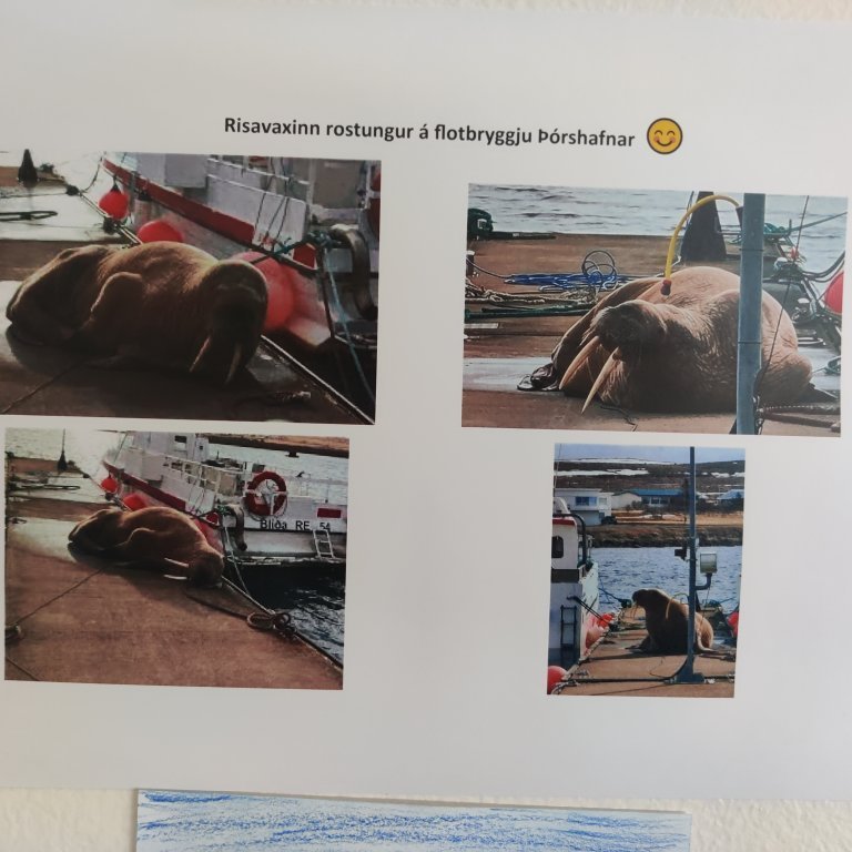 img_20230417_115024-1