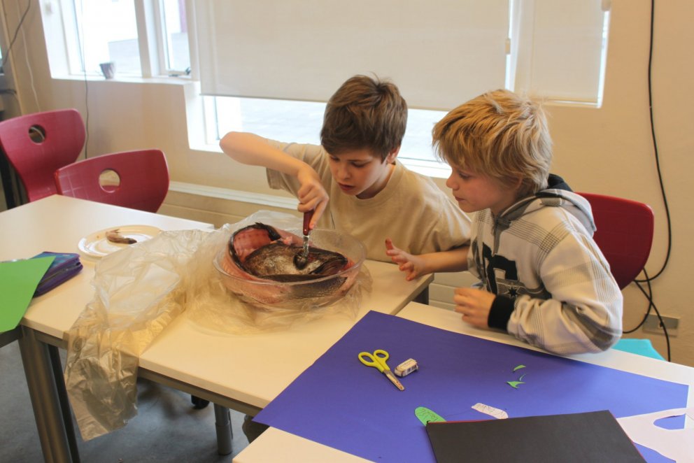 Skemmtileg samsetning