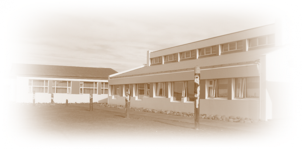 Tilraun með nýja heimasíðu skólans