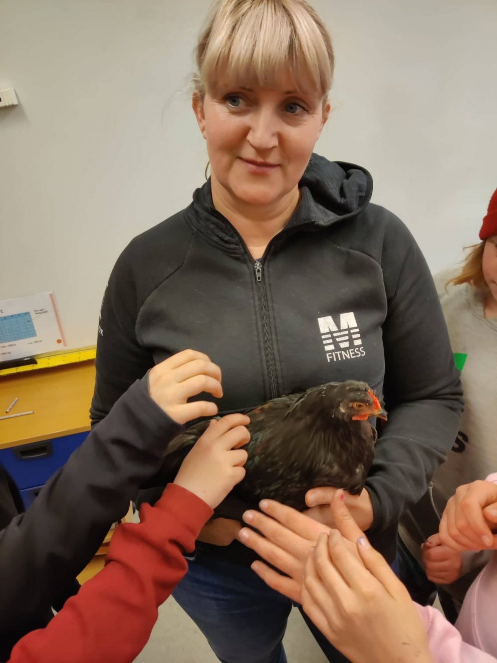 Hildur og bekkjahænan Lilla